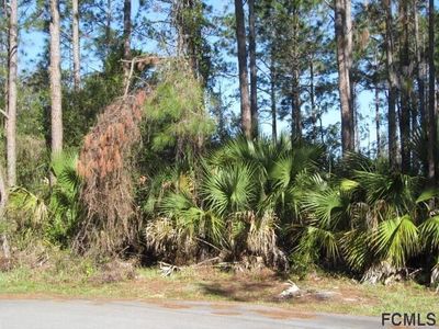 22 Covington Ln, Palm Coast, FL, 32137