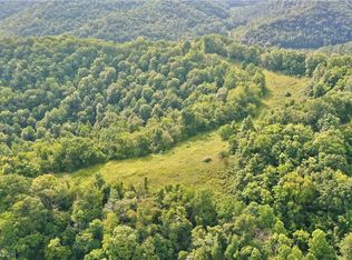 2 Nicut Run Rd, Frametown, WV 25063