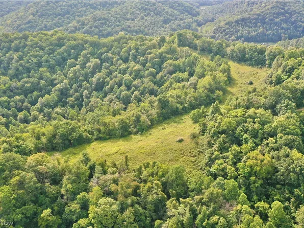 2 Nicut Run Rd, Frametown, WV 25063