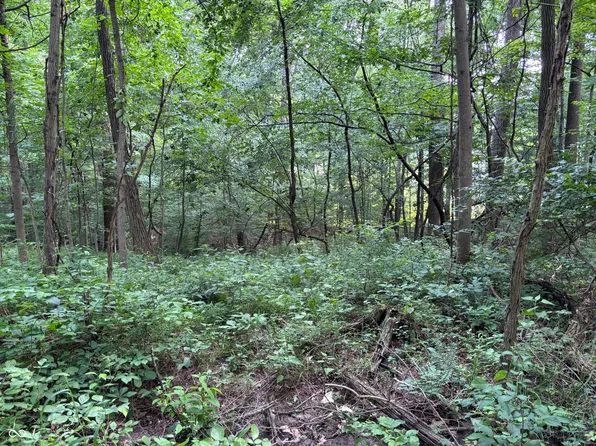 6731 Catfish Dr, Nineveh, IN 46164