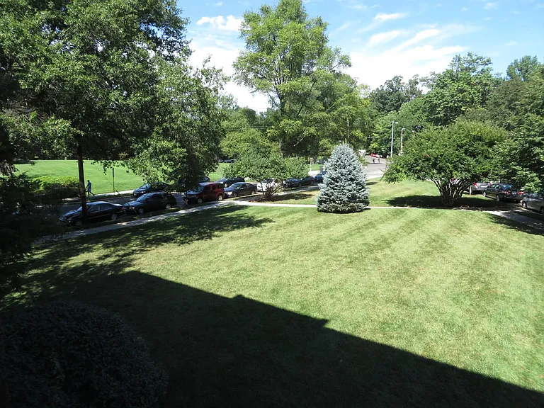 Lawn view from apartment.