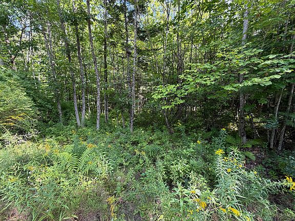 2nd image of TBD Stoneybrook Drive Lot 1