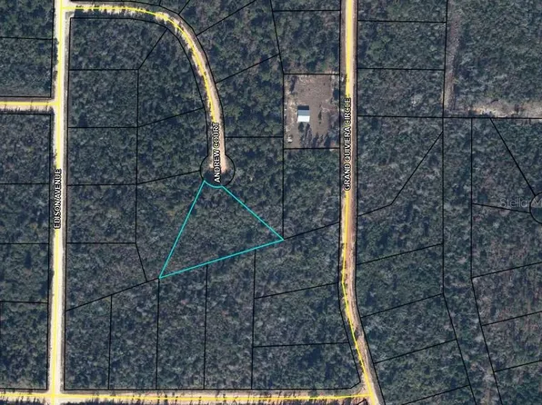 LOT 26 Andrew Ct Lot 26, Alford, FL 32420