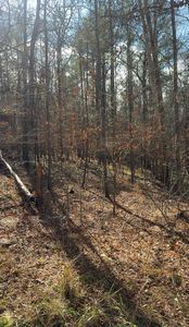 LOT 182 Bluegill Rd, Eatonton, GA, 31024