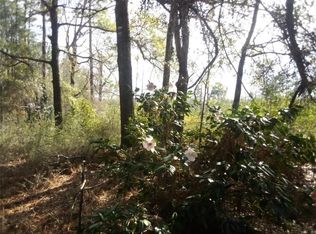 19390 Joan Harris Rd, Mount Vernon, AL 36560