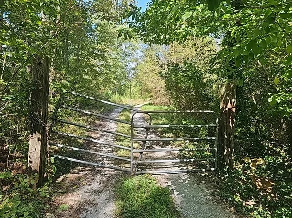 265 Esther Dr, Coalmont, TN 37313