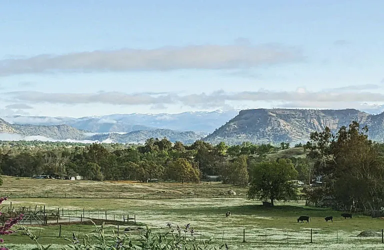 Wake up to this wonderful country living view.