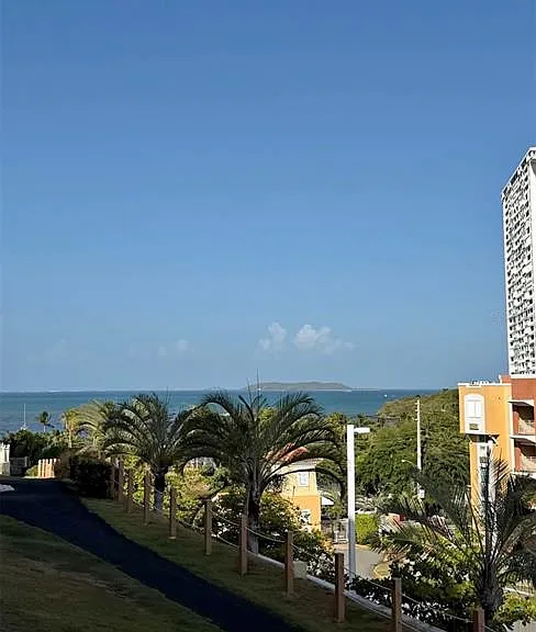 CARR 987 Penamar Ocean Club — Photo 14