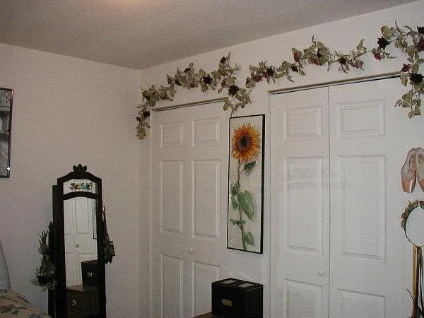 600 S Howes St — Photo 7