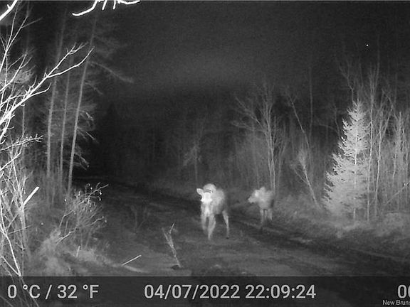 5th image of 3457 Route 490