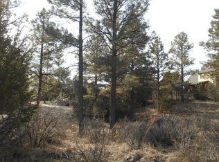 2239 Eagle Ln, Overgaard, AZ 85933