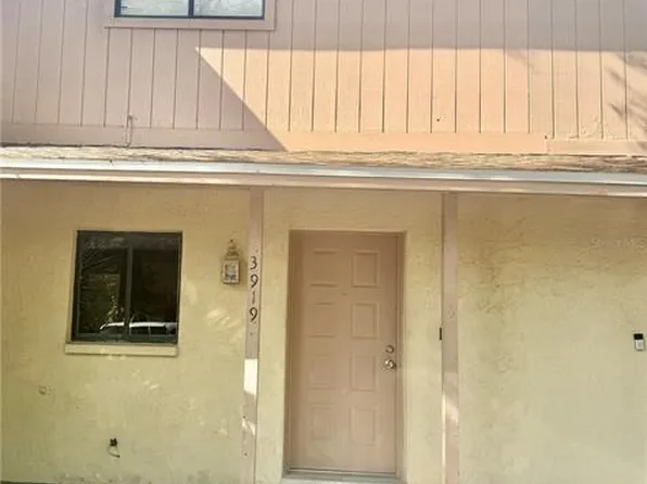 3919 Pine Limb Ct, Tampa, FL 33614