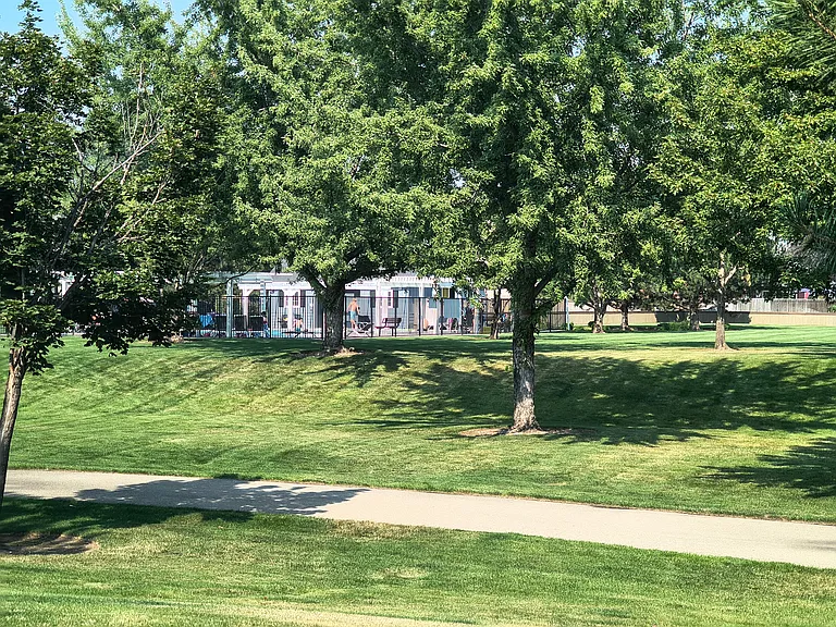 Neighborhood Pool