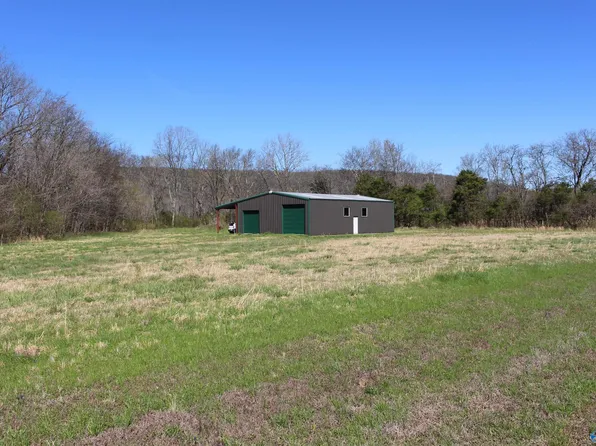 356 Sharpes Hollow Rd, New Market, AL 35761