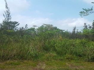 Pikake St, Keaau, HI 96749