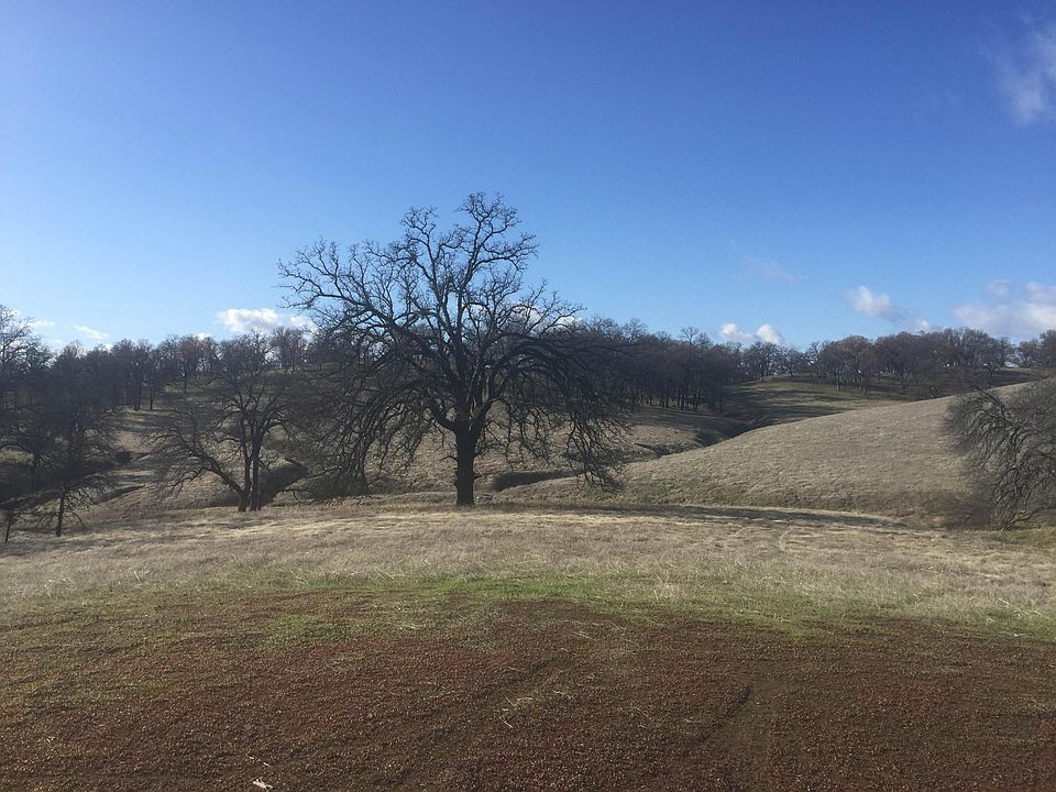 1st image of River Oaks Pl