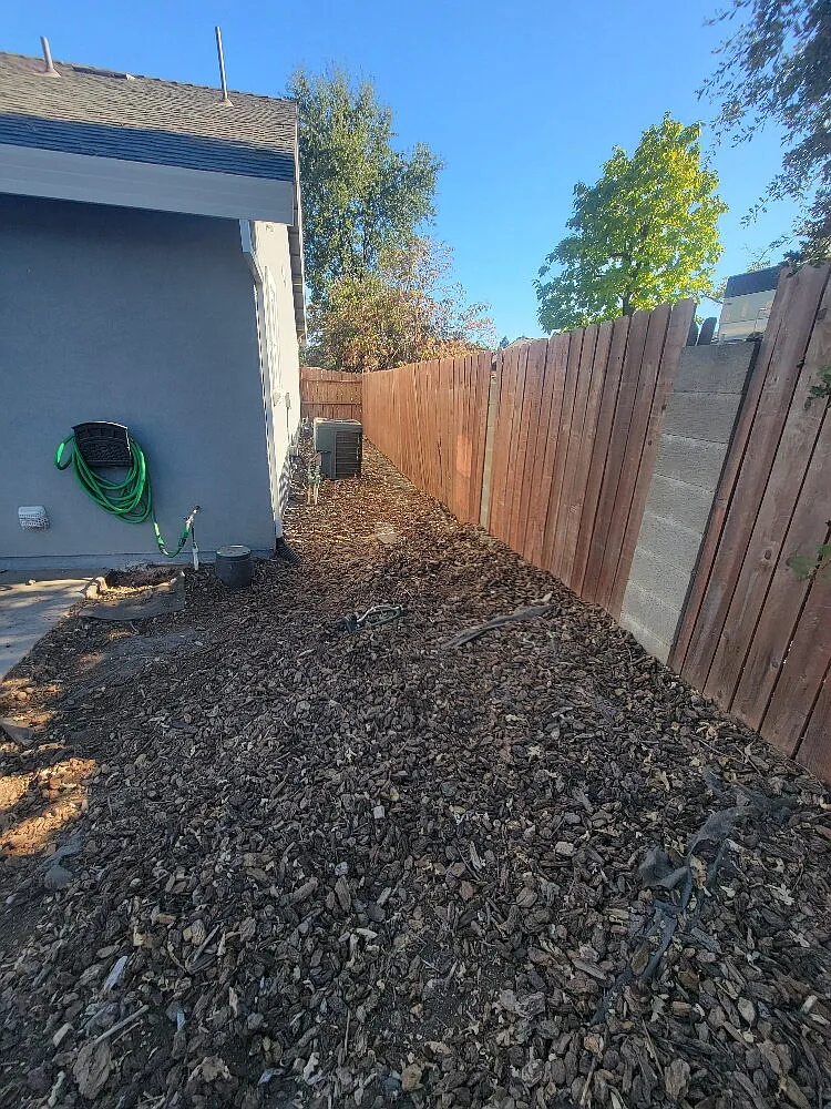 3 bed, 2.0 bath, 1202 sqft, $2,900 — Photo 3