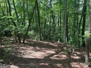 22.5 Ac Highway Trl #2-6, Blue Ridge, GA 30513