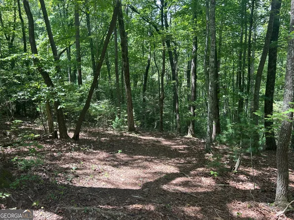 22.5 Ac Highway Trl #2-6, Blue Ridge, GA 30513