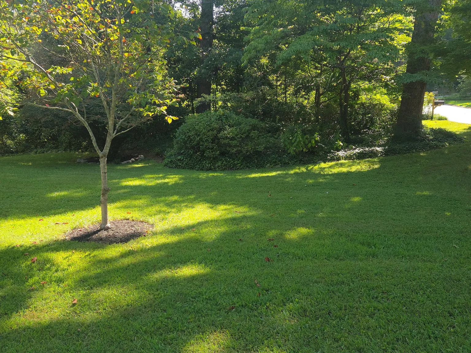 4 bed, 3629 sqft, $3,300 — Photo 3