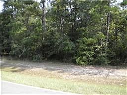 2nd image of 22419 Meadowsweet Dr