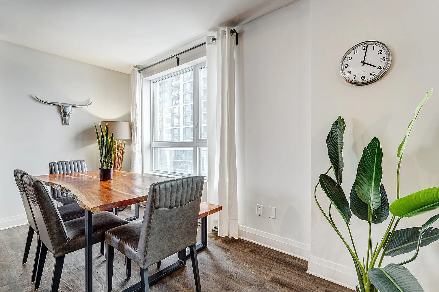 2 bed, 1.0 bath, 893 sqft, $4,800 — Photo 2