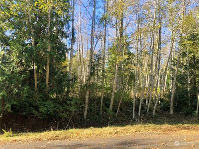 1 Hummingbird Court, Pt Ludlow, WA, 98365