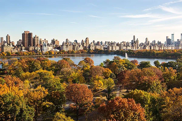 Sold by Stribling | media 1