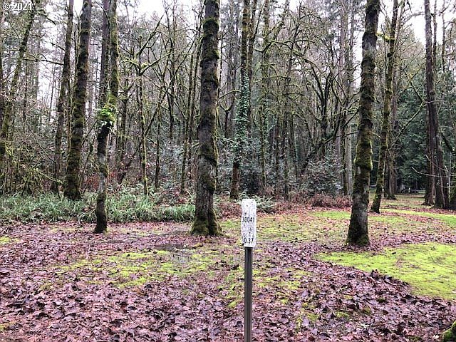 2nd image of 6753 SW Montgomery Way