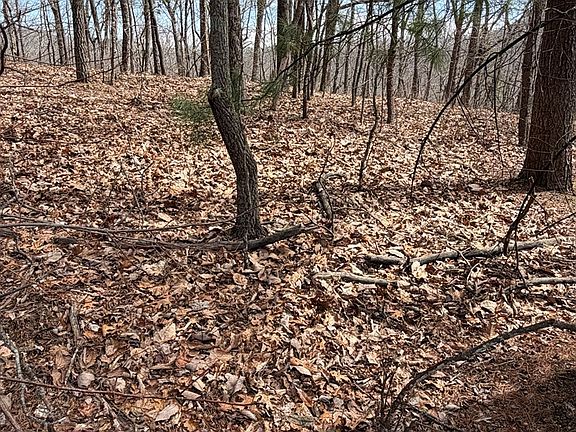 3rd image of Panorama Dr