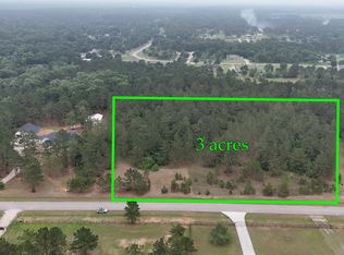 9130 Black Buck Ln, Conroe, TX 77303