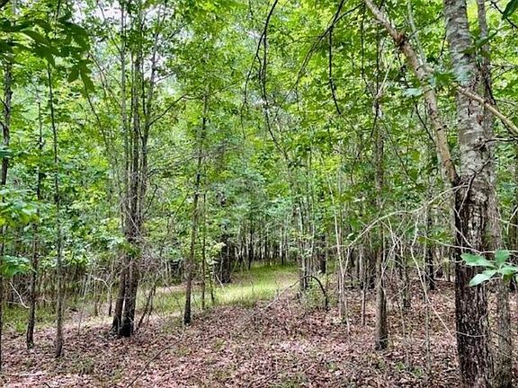 2nd image of 0 Lot 4 Indian Road