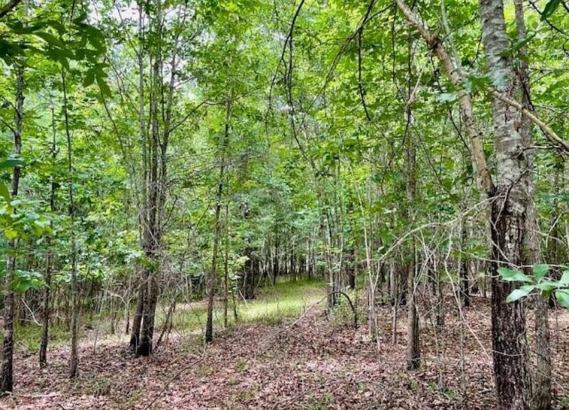 2nd image of 0 Lot 4 Indian Road