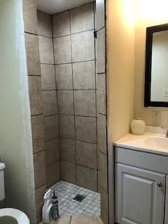 Master Bathroom view