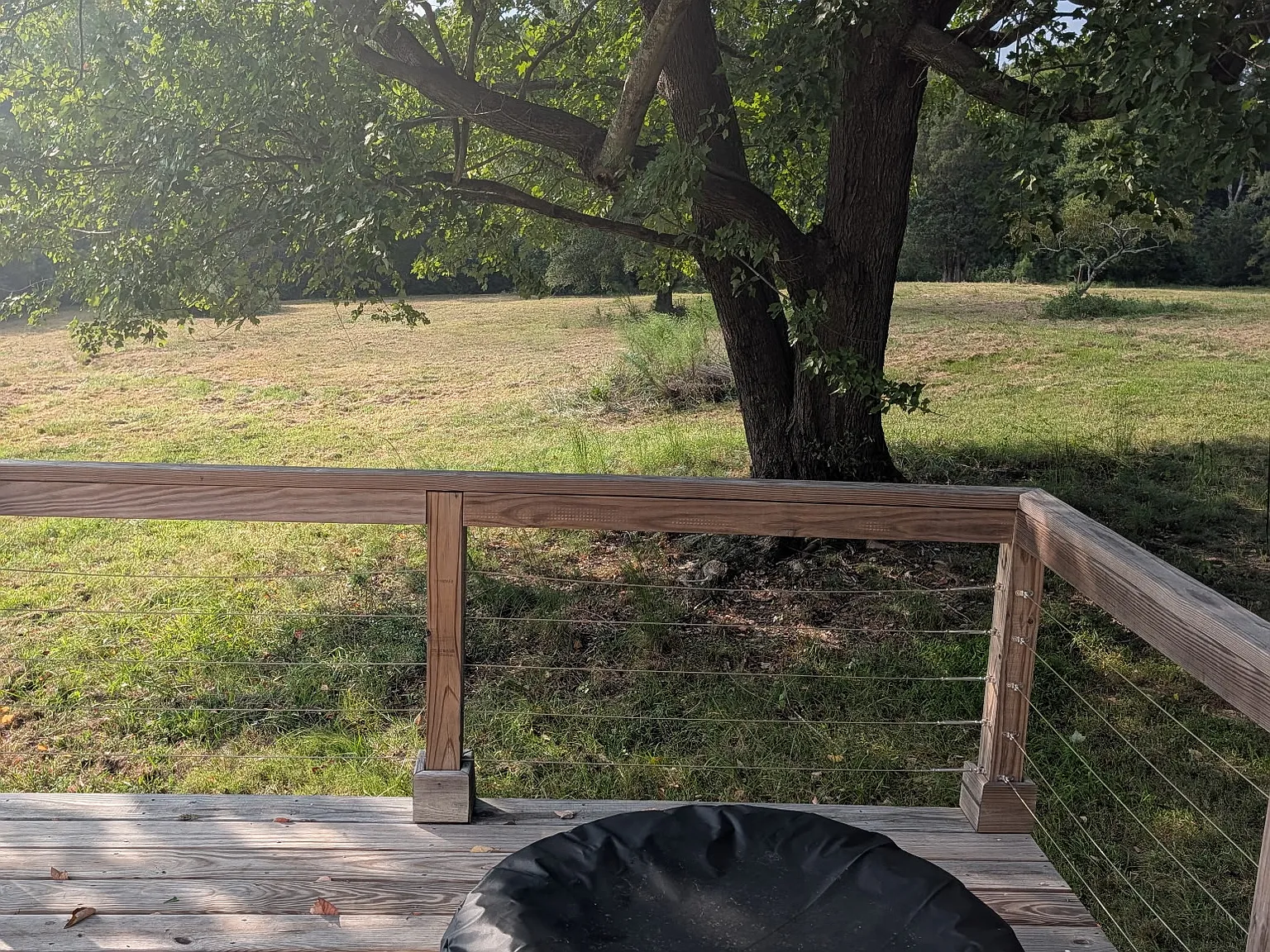 1 bed, 700 sqft, $1,300 — Photo 2