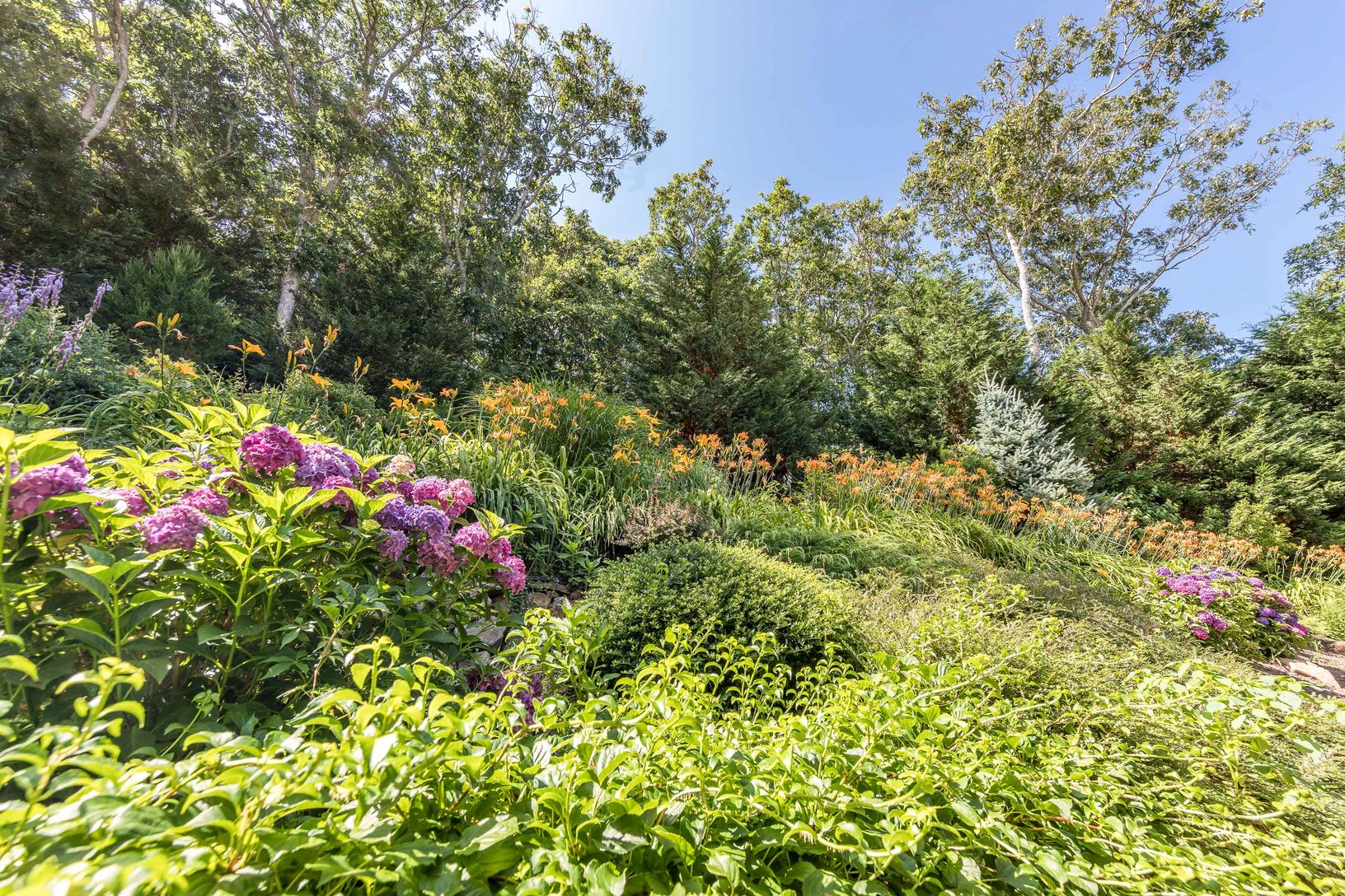 Breathtaking flowers everywhere