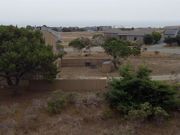 5th image of 74 Burl Tree