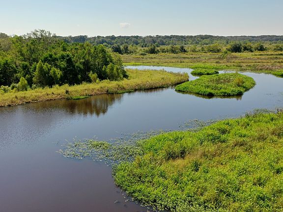 Deep water pond with emergent vegetation excellent for duck roosting habitat