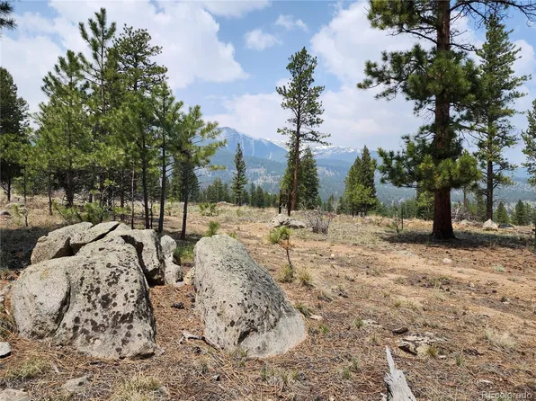 30634 Timberline, Buena Vista, CO 81211