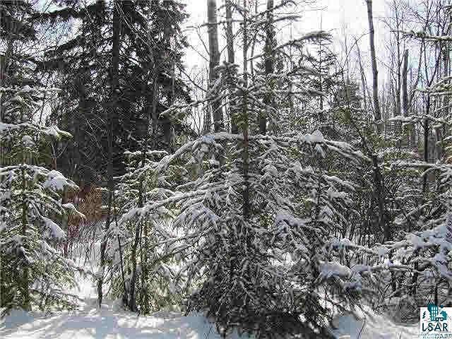 1st image of 3xx Birch Dr