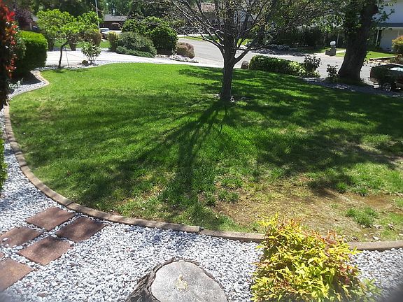 View from house looking out 