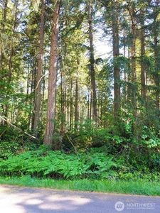 11203 Juniper Place, Anderson Island, WA, 98303