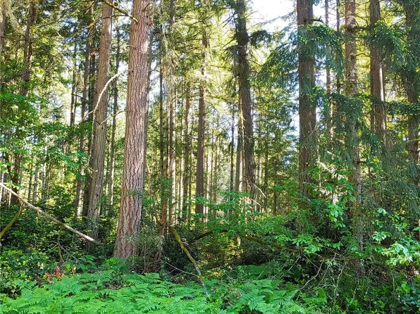 11203 Juniper Place, Anderson Island, WA 98303