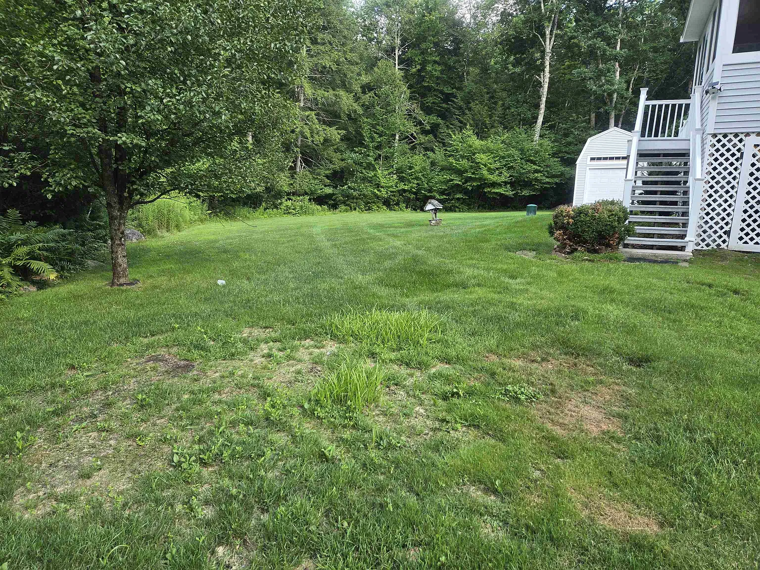 4 bed, 2.5 bath, 2978 sqft, $5,499 — Photo 4