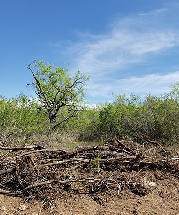 2nd image of 1326 Fm 2537
