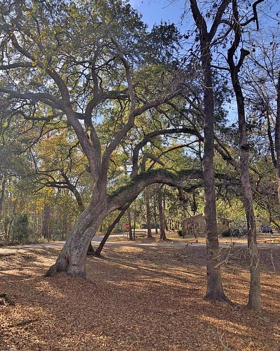 2nd image of 2 Pine Ct