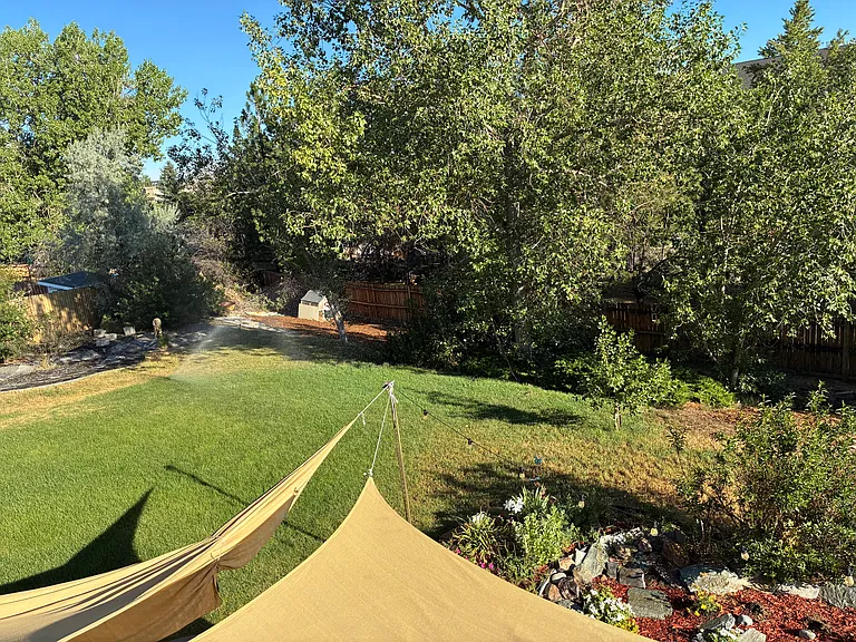 Back yard
