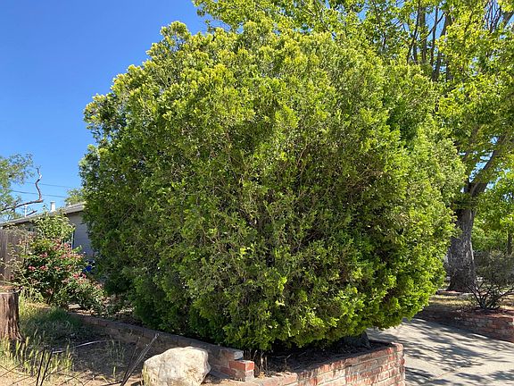3rd image of 5211 Priscilla Ln