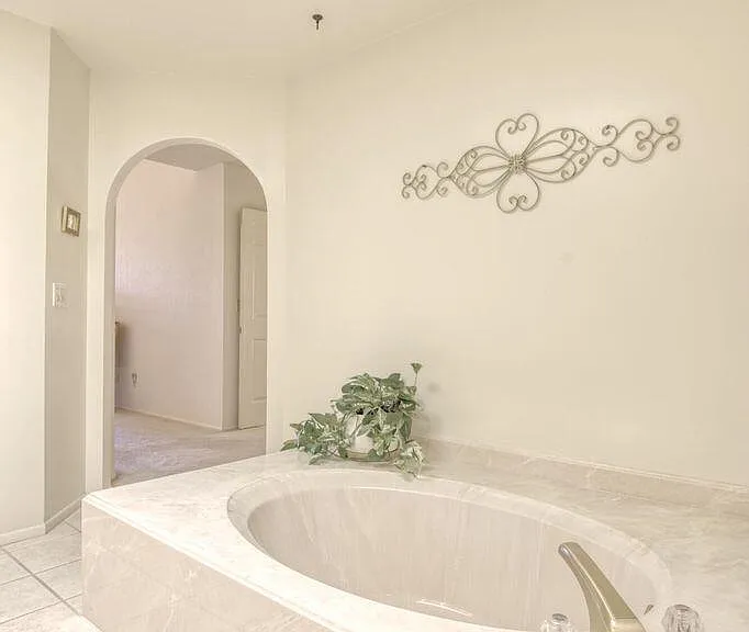 784 E Camino Diestro — Photo 31