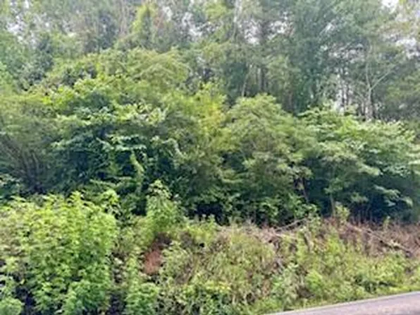 0 McGaha Chapel Rd, Cosby, TN 37722
